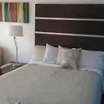 Reno 8 Motel